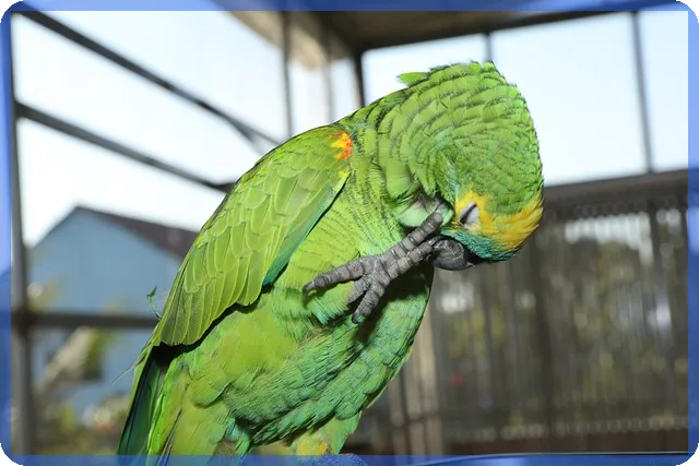 etf수수료 절감의 모든 것, 어떻게 할까