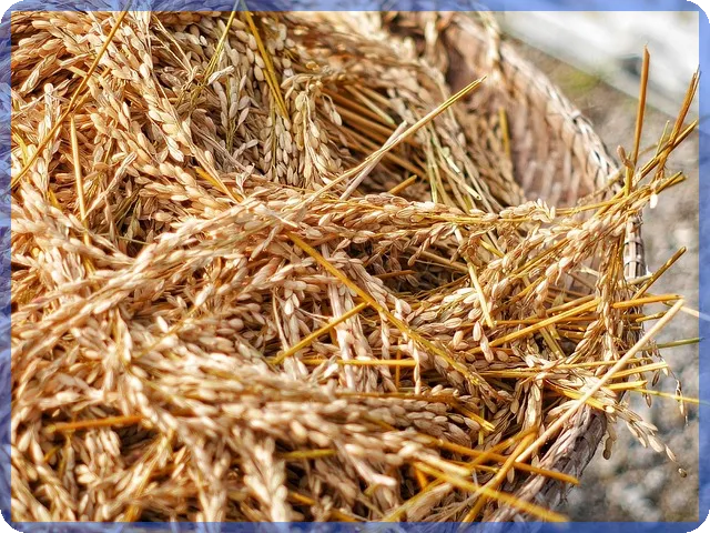 가치투자 성공 전략의 힘 어떻게 활용할까