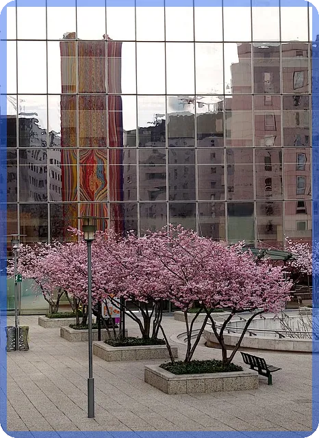 소상공인지원 대출 총정리와 혜택은 무엇인가