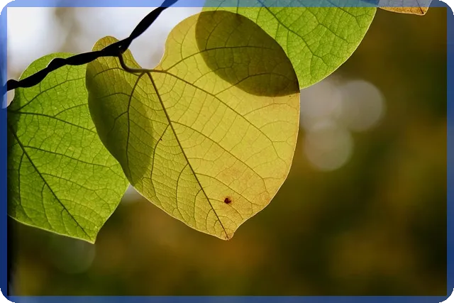 암호화폐전망 이제 상승 시점인가