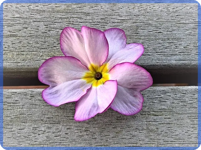 3D프린터관련주 상승 기대와 전망은 무엇일까