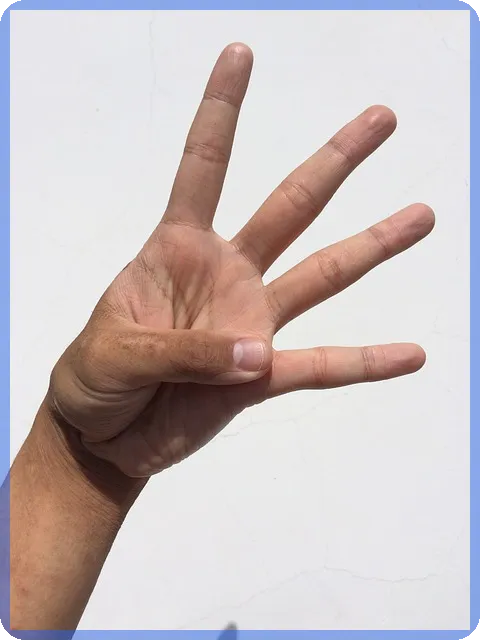 4대보험완납증명서 발급 방법은?