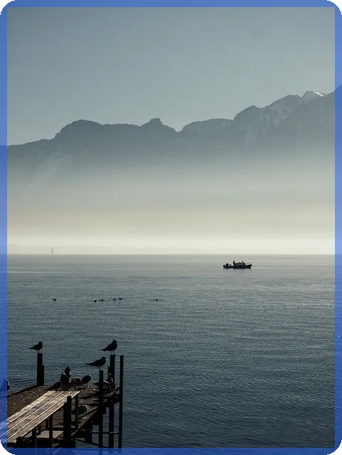 JYP주식 상승의 비밀은 무엇일까