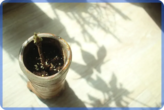 swot분석으로 사업 전략 찾기 쉽게 정리하는 법