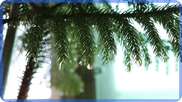 swot분석으로 사업 전략 찾기 쉽게 정리하는 법