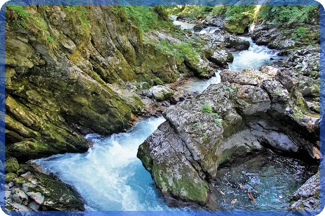 swot분석으로 사업 전략 찾기 쉽게 정리하는 법