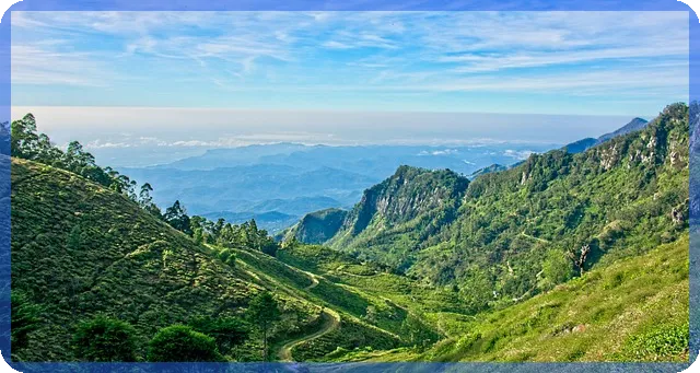 건물경매 핵심 분석과 성공 전략은 무엇인가