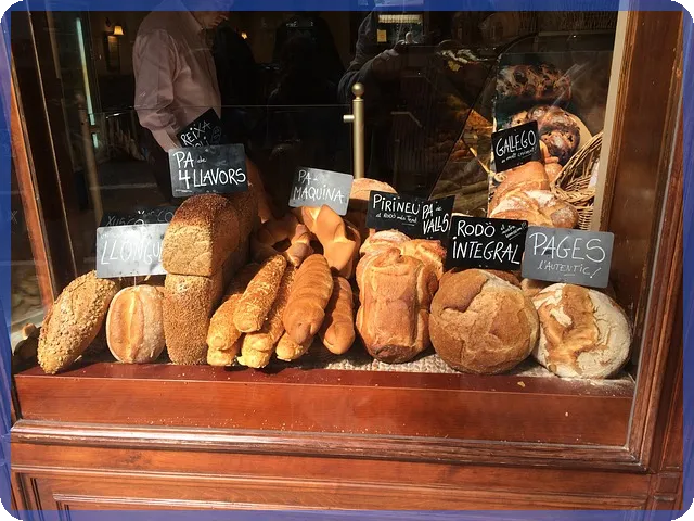 국민청원 쉽게 참여하는 방법과 활용 전략