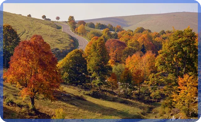 국민청원 쉽게 참여하는 방법과 활용 전략