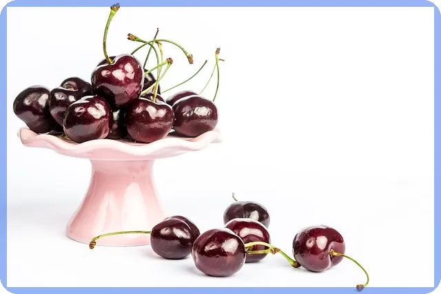 나이벡주가 2025 예측 미래 바이오 성장 기대