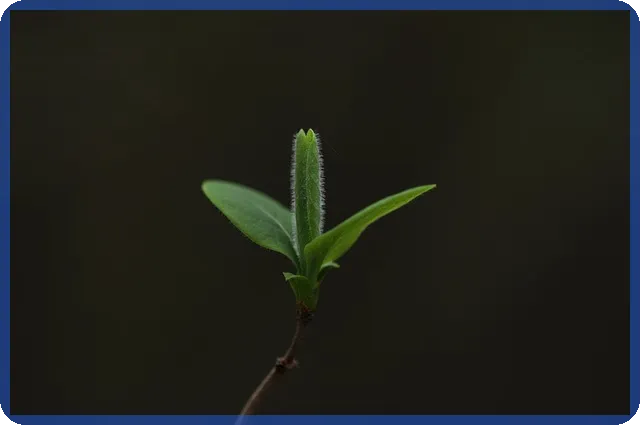 농지원부 인터넷발급 모든 방법 쉽고 빠르게 확인하세요