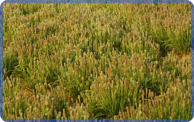 농지원부 인터넷발급 모든 방법 쉽고 빠르게 확인하세요