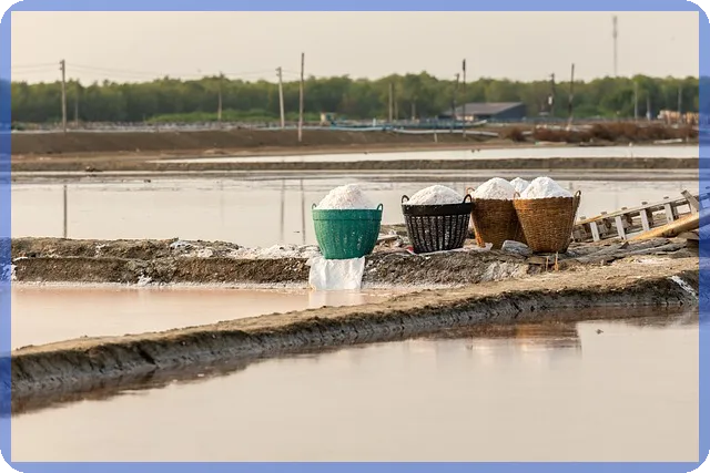 농지취득세 감면과 농기계 지원으로 농촌귀농 성공 전략은?