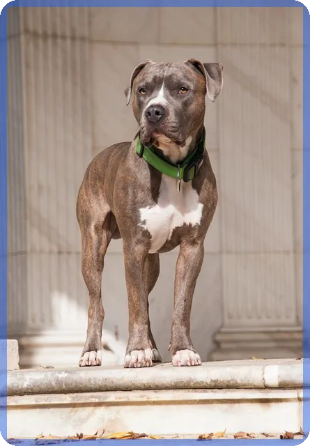 도시재생뉴딜사업으로 미래 도시 혁신 이끌까