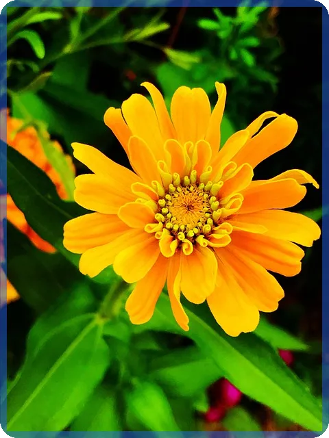 복리적금 특징과 장단점 알아보기