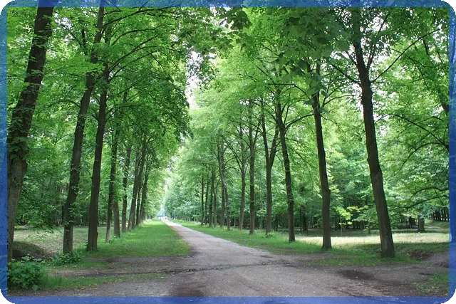 비상금통장 필수 선택 가이드