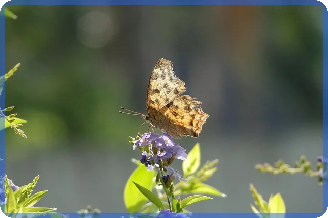 상해보험 가입, 병원비 폭탄 안 맞으려면?