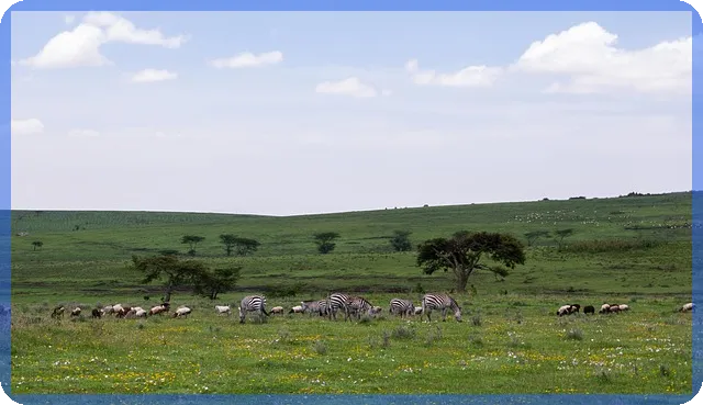 서울아파트지도 통해 본 서울 동북권 부동산 투자 전략