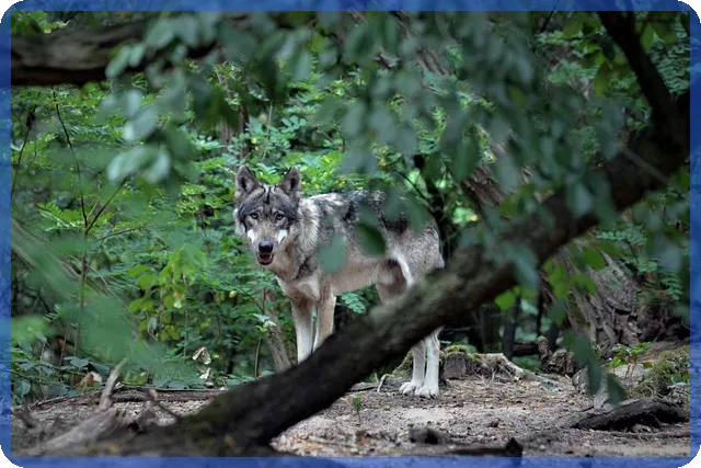 서울아파트지도 통해 본 서울 동북권 부동산 투자 전략