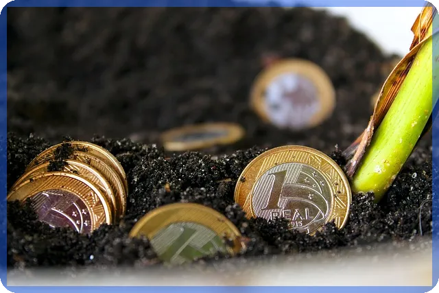 쌍용양회주가 급등 원인과 향후 전망 분석