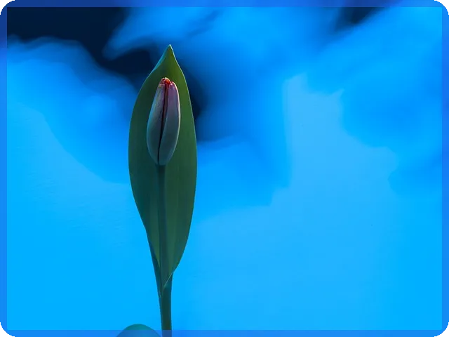 쌍용양회주가 급등 원인과 향후 전망 분석