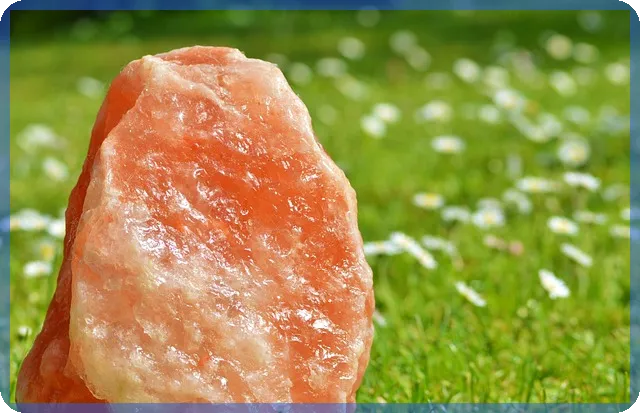 소금관련주 전망 감춰진 이슈와 투자 전략