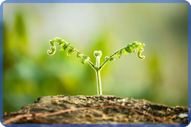 소금관련주 전망 감춰진 이슈와 투자 전략