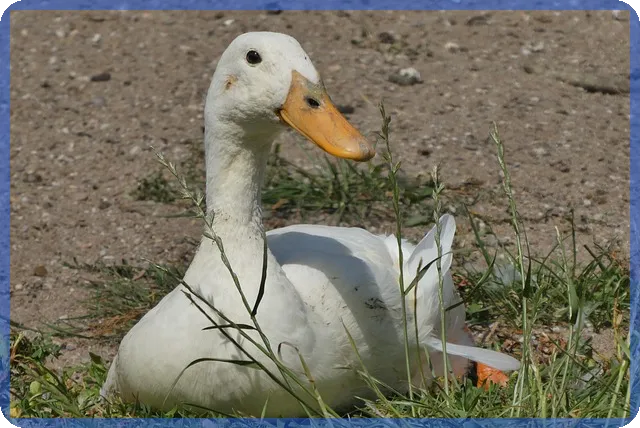 아파트임대사업자 등록 쉽게 할 수 있을까 궁금증 해소하기