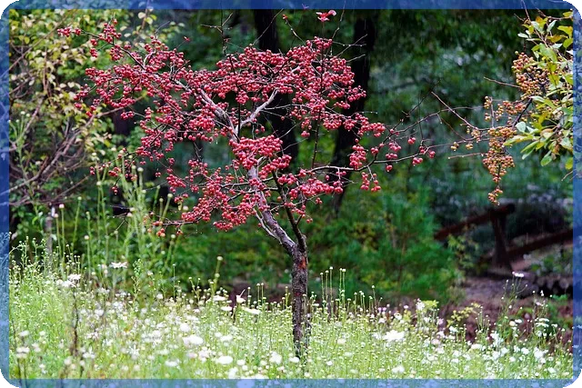 에이비프로바이오주가 변화와 사회적 영향 분석