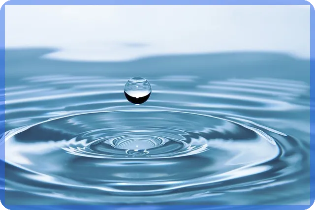 에이비프로바이오주가 변화와 사회적 영향 분석