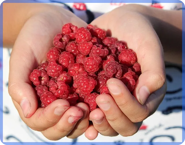 일반과세 선택법 프리랜서 수익 증대 전략