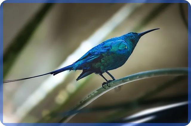 일반과세 선택법 프리랜서 수익 증대 전략