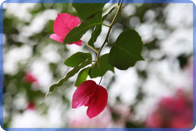 장기임대주택 양도세 혜택 확대와 투자 기회