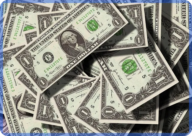 전월세금지법 실거주 의무와 공공민간택지 차이 이해하기