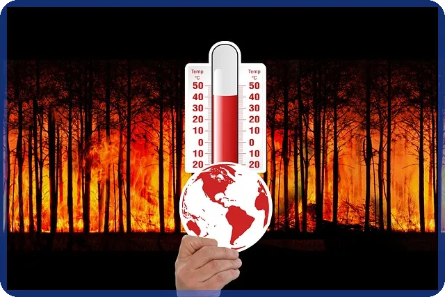 제테마주가 2025 전망과 사업구조 신제품 분석