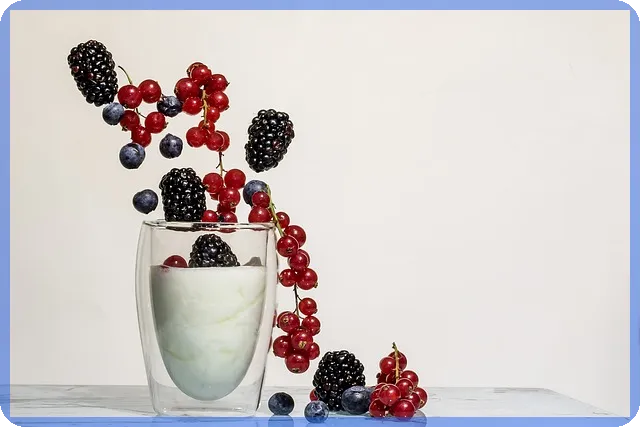 제테마주가 2025 전망과 사업구조 신제품 분석