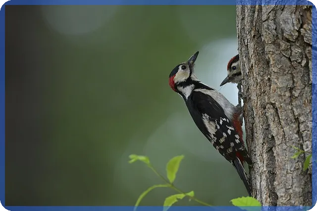 제테마주가 2025 전망과 사업구조 신제품 분석