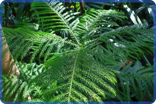 제테마주가 2025 전망과 사업구조 신제품 분석