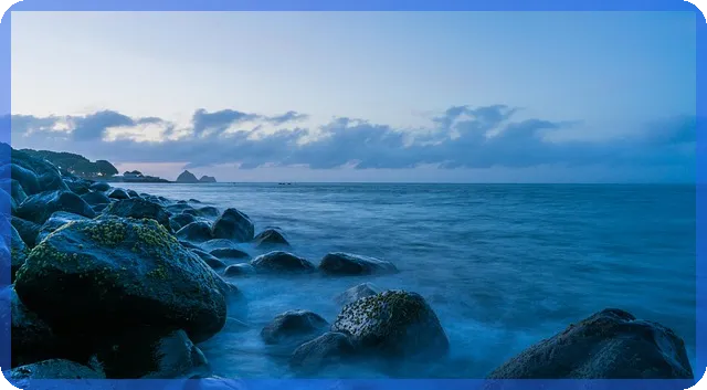 초보자도 쉽게 배우는 주식보는법 핵심 전략