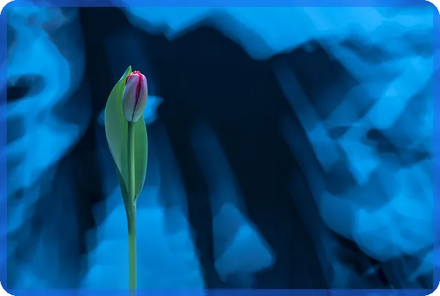 카메라모듈관련주 시장 전망은?