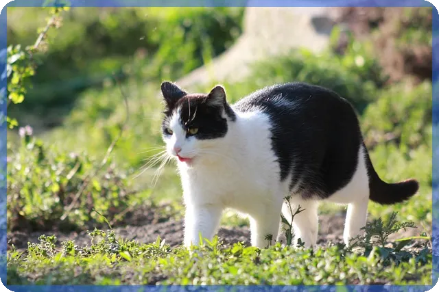 콘텐트리중앙주가 2025년 흑자전환 기대와 성장전망