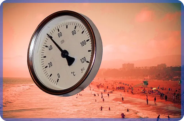 콘텐트리중앙주가 2025년 흑자전환 기대와 성장전망