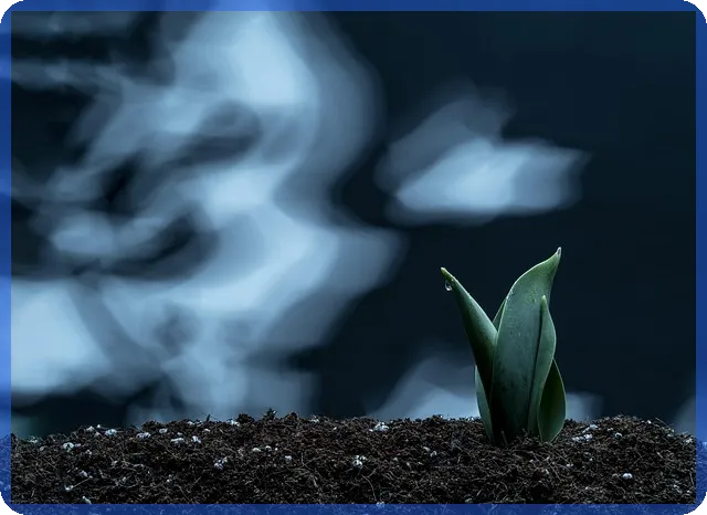 현대일렉트릭주가 급등세 지속? 미래 전망은?