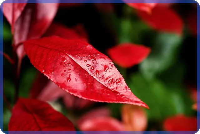 효성중공업주가의 미래 성장 가능성은?