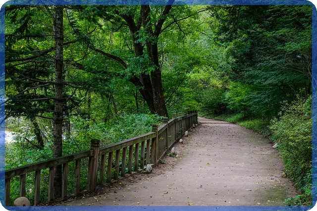 2025수소차보조금 최대 3250만원 신청비법 공개