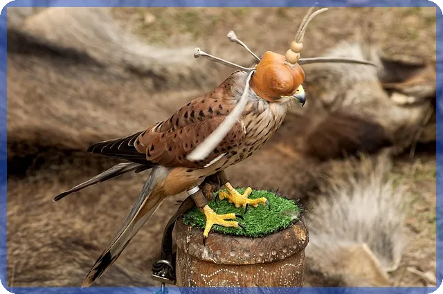 kb치아보험으로 치아 건강 잡기 어려운 이유는 무엇일까