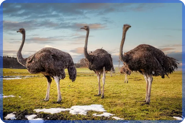 kb치아보험으로 치아 건강 잡기 어려운 이유는 무엇일까