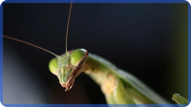 고속터미널지하상가 쇼핑 팁과 추천 브랜드