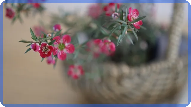 고터몰에서 크리스마스 트리와 소품 쇼핑 꿀팁 알아보기