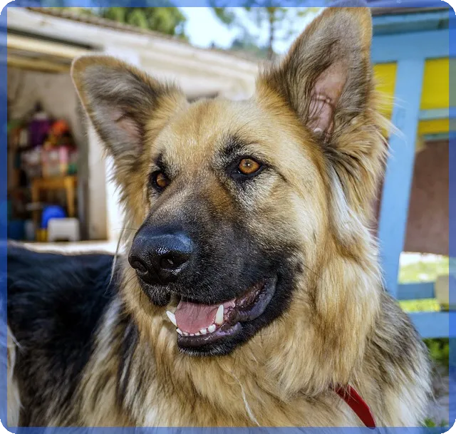 근로자 대출 2.5% 혜택 받는 방법이 궁금하신가요